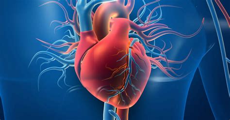 Heart Research Institute UK • Donate to heart disease .
